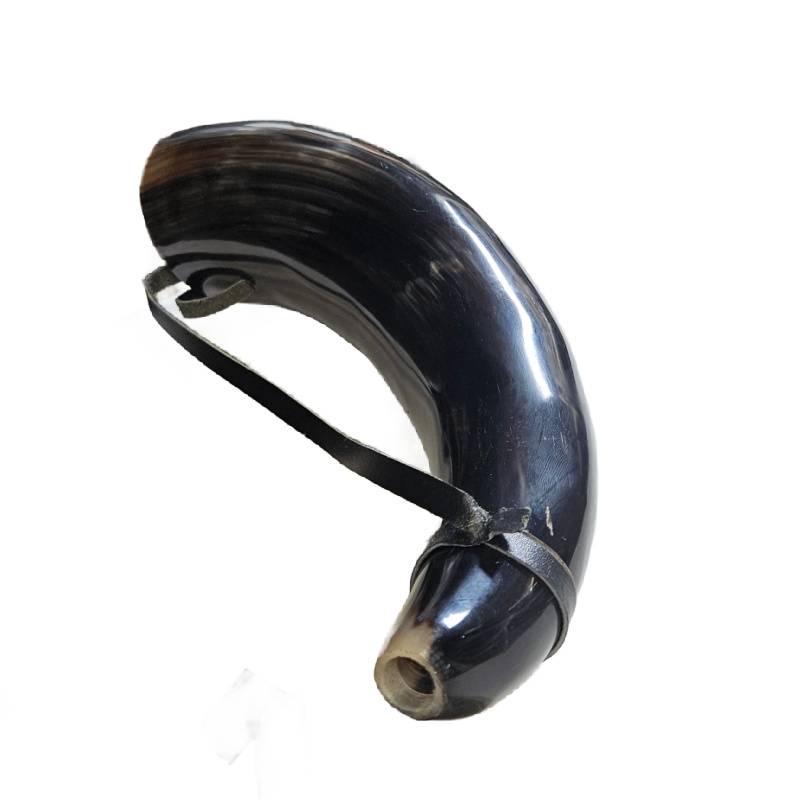 Viking Blow Horn