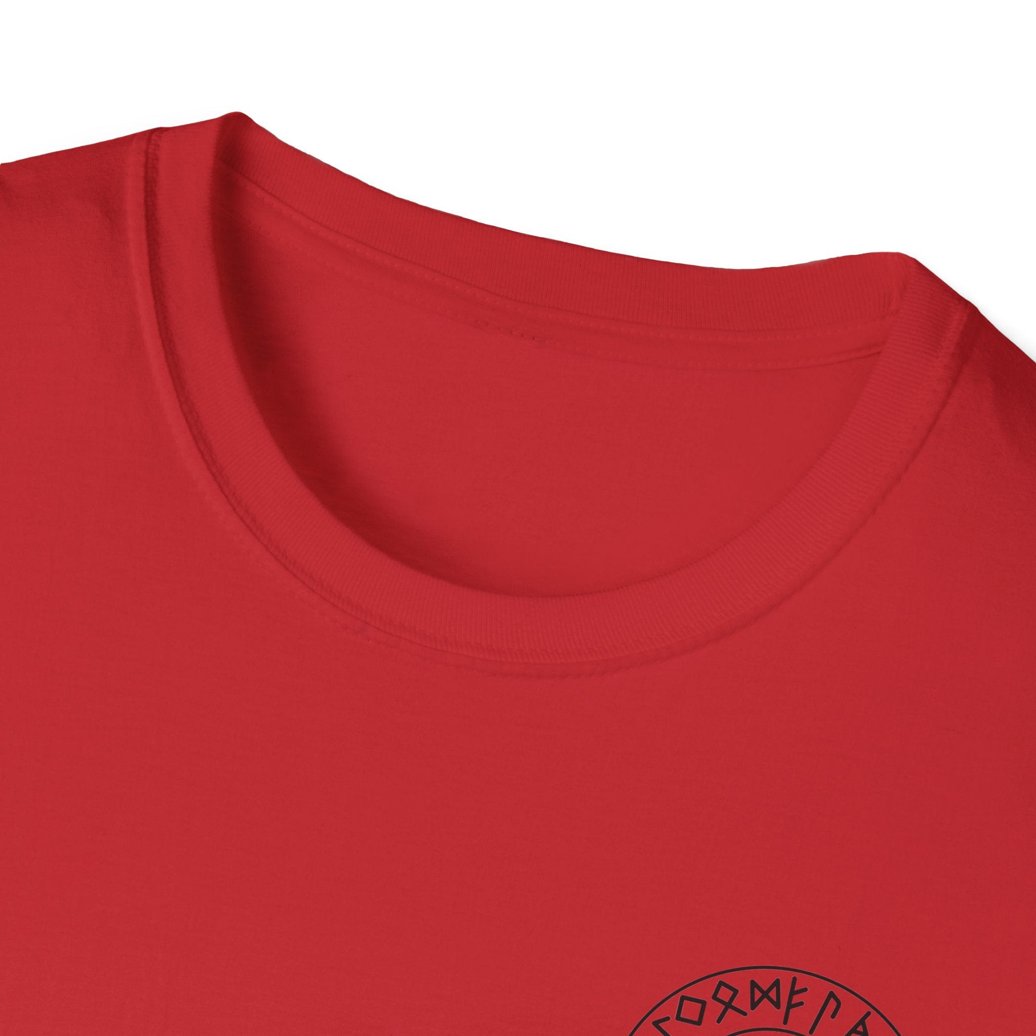 Viking Defiance T-Shirt - Some Are Born to Defy